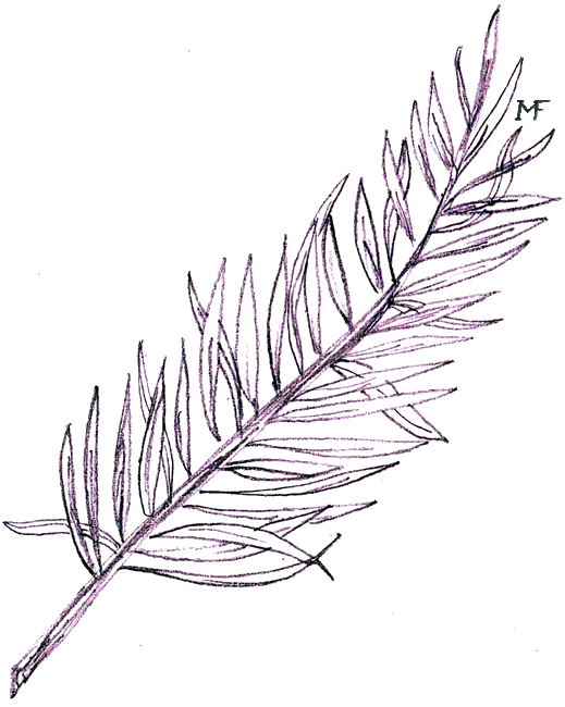 Thematický symbol písně