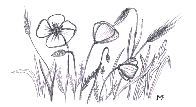 Thematický symbol písně